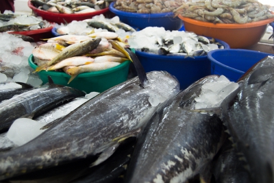 Recherche un Vendeur de poisson &agrave; St Benoit sur Loire