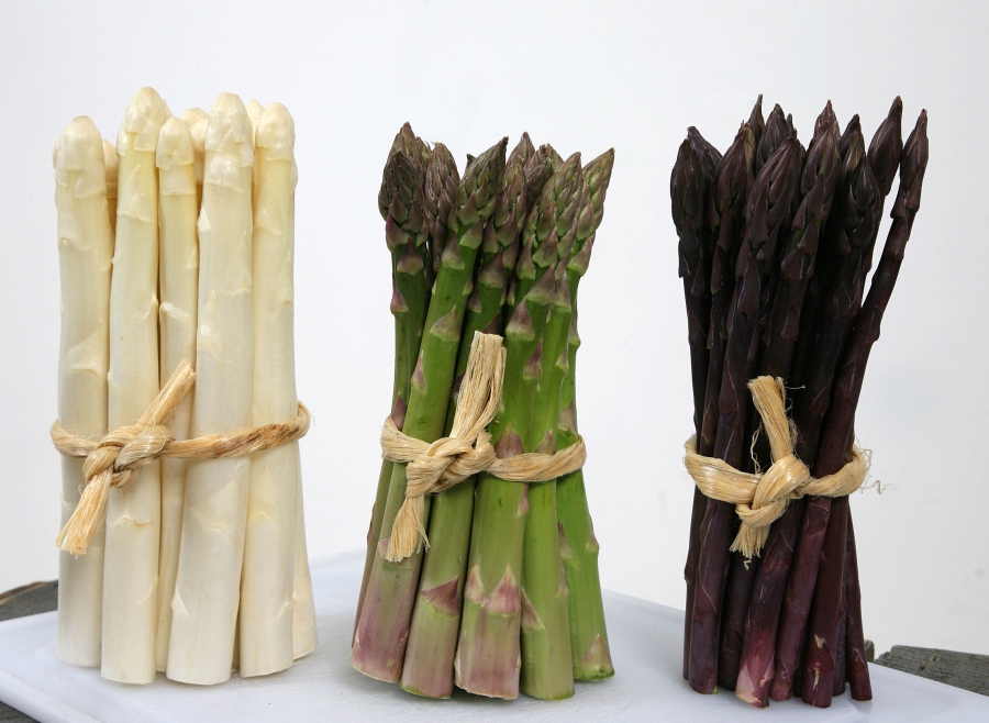 Circulez y&#039;a tout à voir à La foire aux asperges de Tigy !