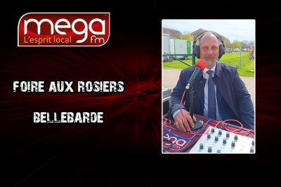 Circulez y'a tout &agrave; voir en direct de la Foire aux Rosiers de Bellegarde