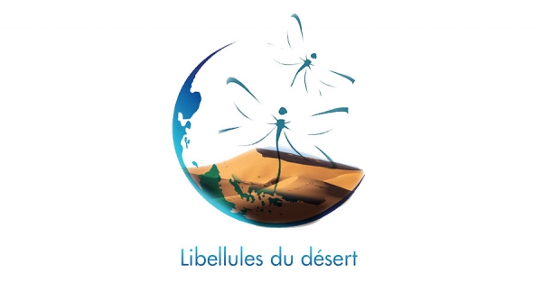 Libellules du Désert