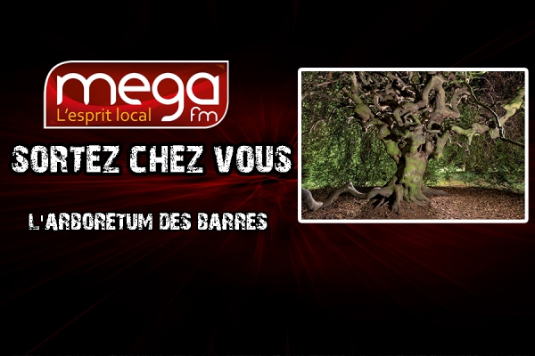 Sortez chez vous ! L&#039;arboretum des barres
