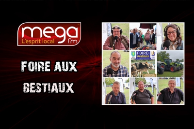 Circulez y&#039;a tout à voir en direct de la Foire aux bestiaux de Sully-sur-Loire