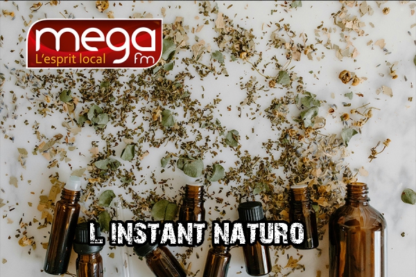 L&#039;instant Naturo - Le Kiwi