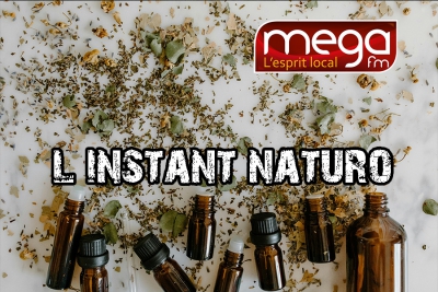 L'instant Naturo - L'argile Verte