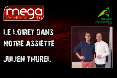 LLDNA - Julien Thurel