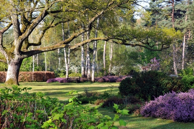 Sortir à l&#039;arboretum des grandes bruyères