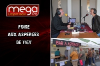 Circulez y'a tout à voir en direct de la Foire aux asperges de Tigy