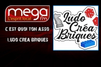 C'est Quoi Ton Asso : Ludo Créa Briques