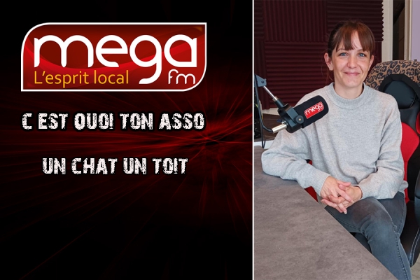 C&#039;est Quoi Ton Asso : Un Chat un Toit