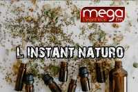 L'instant Naturo - Le Safran