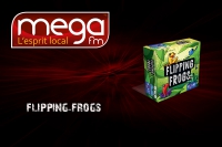 Roxxe'N Board : Flipping Frogs