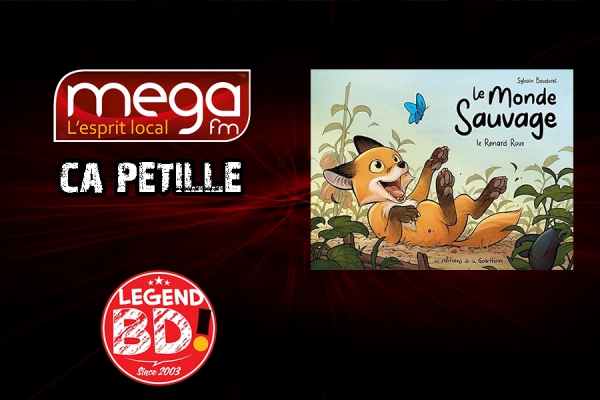 Ca P&eacute;tille - Le monde sauvage : le renard roux